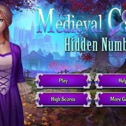Medieval Castle Hidden Numbers