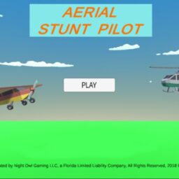 Aerial Stunt Pilot