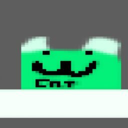 Cat Go BRRRR