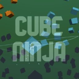 Cube Ninja