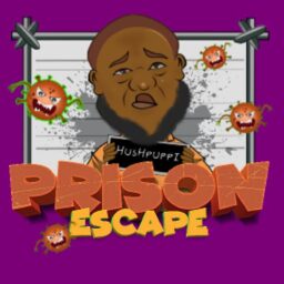 Hushpuppi prison run