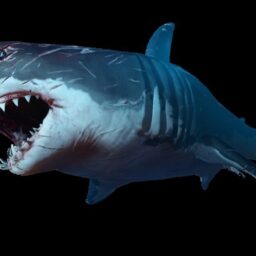 Kill flying sharks and save Earth!