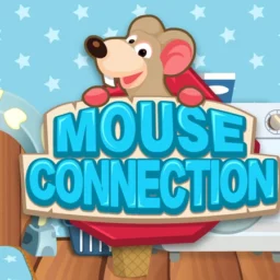 Mouse Connection