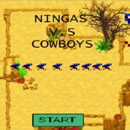 Ninjas vs cowboys