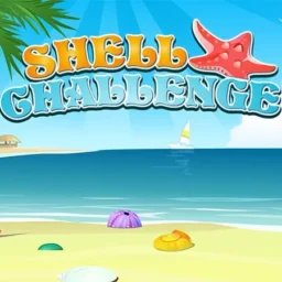 Shell Challenge