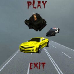 Shootem Up Driving