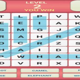 Word Search Game